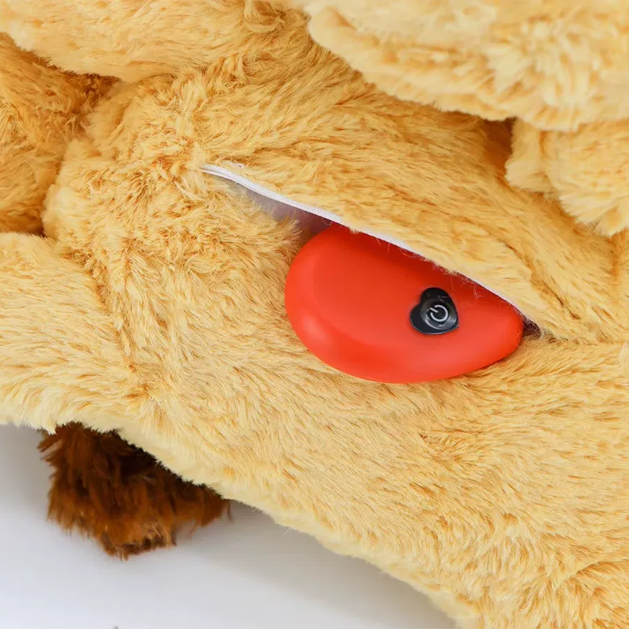 Heartbeat module inside hidden pocket